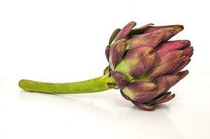 Alcachofa (Artichoke) - foto real